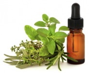 organic essential oils & healing plants